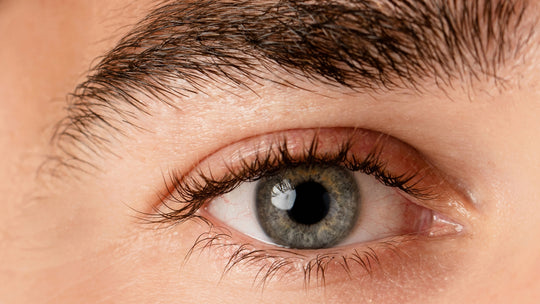 The Art of Eye Maintenance
