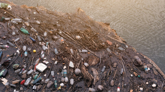 The Problem with Plastic Waste