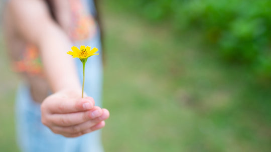 THE GIFT OF GIVING